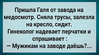 Как Галя На Заводе Медосмотр Проходила Сборник Свежих Анекдотов Юмор [upl. by Stirling679]