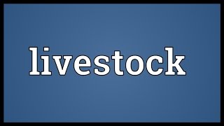 Livestock Meaning [upl. by Russo405]