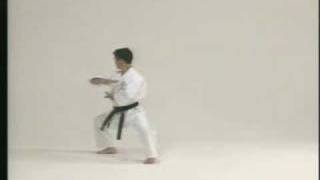 Gojukai kata Seipai [upl. by Alison]