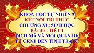 Khoa học tự nhiên 9  Kết nối tri thức  Chương 11  Bài 40  Dịch mã  Gene và tính trạng  Tiết 1 [upl. by Nuawd467]