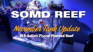 135 Gallon Planted Reef Tank Update  SoMD Reef  November EP2 [upl. by Einahpets260]