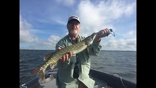 Rush Lake Minnesota [upl. by Huoh]