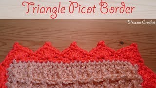 Simple Crochet Border Triangle  Mini Crowns [upl. by Ayna]