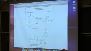 Aherns BB 350 at OSU  10 Enzymes Control I [upl. by Ariamat95]