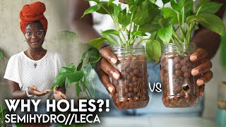 Why I prefer drain holes for my plants in LECA  tips on drilling  semihydroponics [upl. by Tillman]