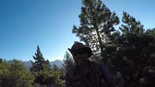 Hiking to Poore lake Leavitt Meadows Trailhead [upl. by Rehctaht]