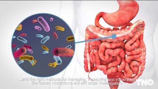 Microbiome expertise and analysis [upl. by Noiemad]