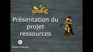 Dofus 243  Présentation projet ressources [upl. by Matthaus145]