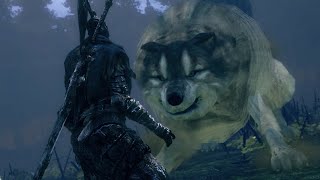 Artorias VS All Bosses NG7  Dark Souls Remastered [upl. by Gavini182]