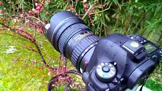 Tokina 1628mm f28 IF FX lens review [upl. by Ailugram]