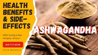 Ashwagandha Explained Does This Ancient Herb Really Work [upl. by Cairns]