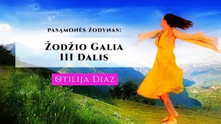 Pasąmonės Žodynas Žodžio galia III DALIS [upl. by Icrad658]