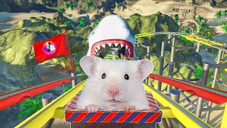 Hamster in Roller Coaster with Shark [upl. by Russel]