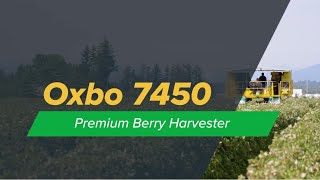 Oxbo 7450  Premium Berry Harvester [upl. by Amhser]