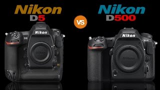 Nikon D5 vs Nikon D500 Full Camera Comparison [upl. by Eneloc]