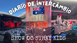 SHOW DO STRAY KIDS  DIÁRIO DE INTERCÂMBIO 6 [upl. by Yelir]