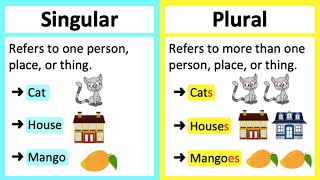 SINGULAR VS PLURAL NOUNS 🤔  Whats the difference Learn with examples [upl. by Hisbe]