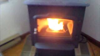 Burning Leaf Pellets in Pellet stove [upl. by Doner519]