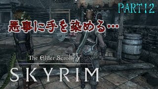 Switch版スカイリム悪事に手を染める…The Elder Scrolls V Skyrim実況 Part12 [upl. by Pattison]