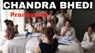 🕉 How to do CHANDRA BHEDI Pranayama  Lunar Breathing [upl. by Woodsum]