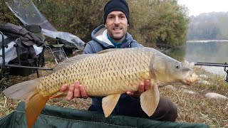 Carpfishing  Fiume Tanaro  Le due regine [upl. by Siloum154]