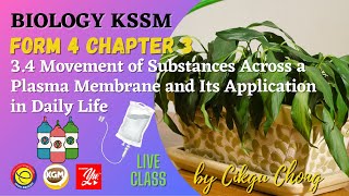 34 Movement of Substances Across a Plasma Membrane and Its Application in Daily Life [upl. by Anihc395]