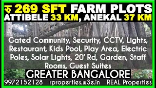 MANAGED FARM LAND BANGALORE  RS 269 PER SFT  A Big Banyan Tree very close to our Farm Land Layout [upl. by Annoirb]