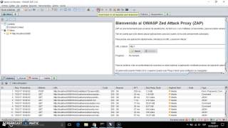 Security XPATH Injection over WebGoat [upl. by Anaderol677]