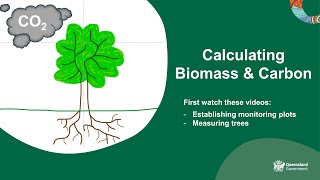 Calculating biomass and carbon [upl. by Therese63]