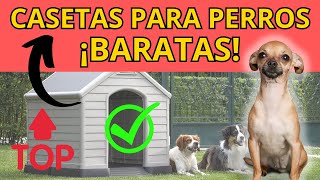 Mejores CASETAS para Perros Grandes y Pequeños BARATAS  2024  ✅ ¡TOP Calidad Precio [upl. by Schwerin]