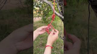 STOP Wasting Time with Slow Knot Tying Methods and Learn the Best [upl. by Lussier]