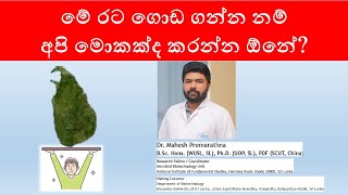 මේ රට ගොඩගන්න නම් අපි මොනවද කරන්න ඕනේ What should we do to uplift this country [upl. by Laen]