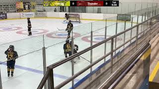 U14AA Flamborough Sabres vs Halton Hills Thunder Stratford Tournament Game 2 [upl. by Auqinehs365]