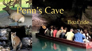 Penn’s Cave amp Wildlife Park  Boat ride through Caven [upl. by Aisatsanna]