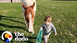 Horse Comes Running When Little Boy Calls Her Name  The Dodo Soulmates [upl. by Georgine594]