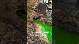 Idlewild Hallowboo dyed green water halloween funny idlewild amusement fyp [upl. by Wailoo]