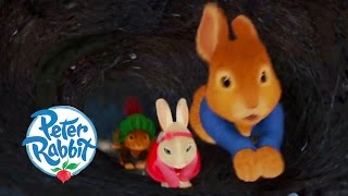 Peter Rabbit  The Great Garden Adventure 🐰  Cartoons for Kids [upl. by Onileva597]