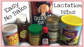 How to make NO BAKE LACTATION BITES [upl. by Cardinal]