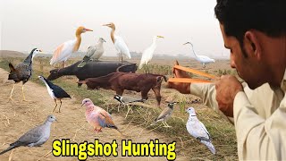 Best Hunting Birds With Handmade Slingshot ❗ [upl. by Morley632]