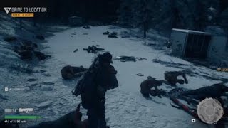 DAYS GONE New Game Berley Lake Horde [upl. by Inalaehak]