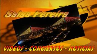 Salsa Pereira [upl. by Brighton]