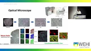 Narayana V 2024 High throughput high spatially resolved APMALDIMSI pipeline [upl. by Elleined]