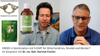 Instabile HWS und DMSO Dr Hartmut Fischer [upl. by Schreibman]