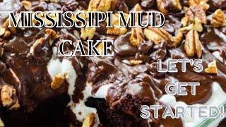 Mississippi Mud Cake  Mississippi Mud Cake Recipe  Bitrecipes [upl. by Llenil]