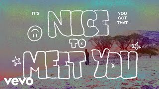 ZHR  Nice 2 Meet You Lyric Video [upl. by Bernette]