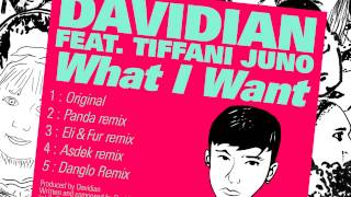 Davidian  What I Want feat Tiffani Juno Panda Remix [upl. by Joane]