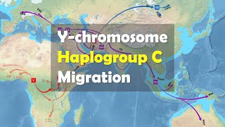 What is the migration route of modern humans with Ychromosome haplogroup C [upl. by Uahc]