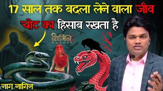 एक ऐसा जीव जो 17 साल बाद भी बदला लेता है। कुछ चौकाने वाले तथ्य। snake or crow [upl. by Deuno]