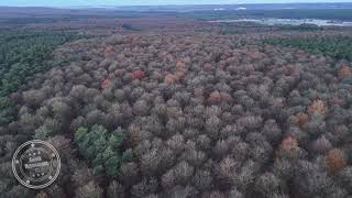 Forêt de Brotonne en automne survol de la forêt  Drone 4K  FRANCE [upl. by Yerffeg]