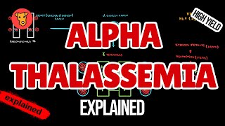 AlphaTHALASSEMIA Pathogenesis Electrophoresis Clinical symptoms for USMLE [upl. by Ellenaj]